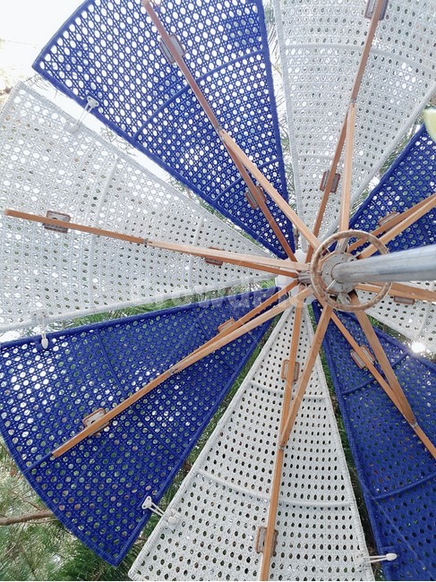 umbrella,우산,canopy,여름,마린,summer