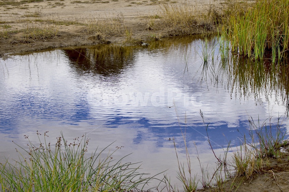 들판,호수,풍경,구름,하늘,자연,화창한,맑은하늘,뭉게구름,nature,cloud,lake,자연,풍경,nature,landscape,land,땅,outdoors,옥외,water,물,plant,식물,grass,잔디,swamp,늪,marsh,습지,bog,변소