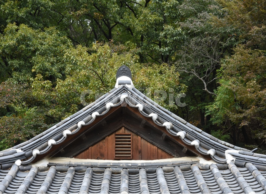풍경,자연,건물,경복궁,궁,전통,처마,나무,한국전통,한국문화,korean traditional,korean culture,건축물,건물외관,exterior,building,structure,architecture,construction