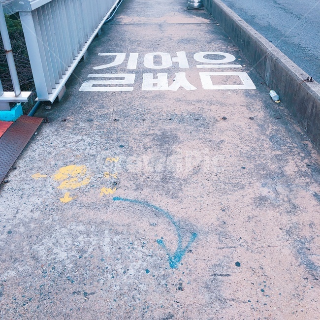 길없음,길,다리,육교,일상