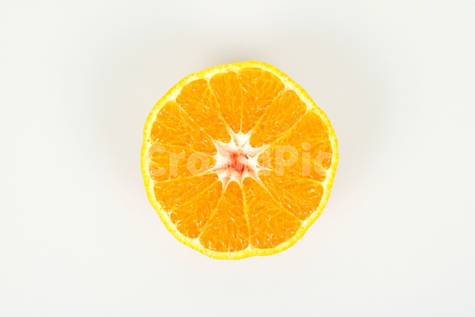 한라봉,오렌지,과일,생과일,음식,디저트,웰빙,식물,열매,다이어트,컨셉,콘셉,다울,단면,음식,식재료,요리,food,cook,meal,dishes,food reserves,과일,열매,fruit,누끼,remove background