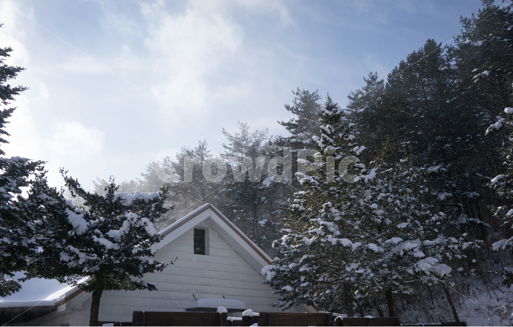 겨울,눈,스냅,집,감성,풍경,계절,winterseason,자연,naturelandscape,식물,plants,나무,treeswood,설경,겨울,계절,winter,season,자연,풍경,nature,landscape,건축물,건물외관,exterior,building,structure,architecture,construction,tree,plant,fir,전나무