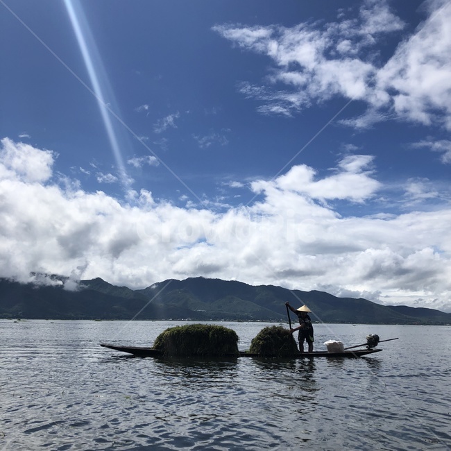 호수,자연,미얀마,인레,lake,nature,myanmar,물,water