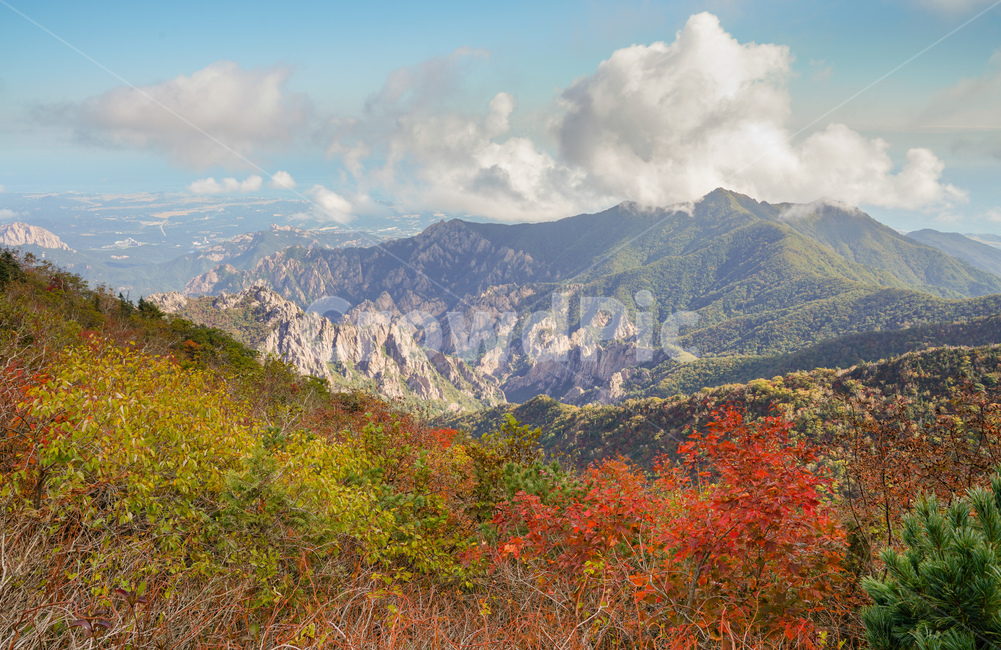 설악산,가을,단풍,구름,산,자연,풍경,가을,계절,fall,autumn,season,자연,풍경,nature,landscape,한국자연풍경,한국자연경관,korea nature landscape,mountain range,산맥,outdoors,옥외,mountain