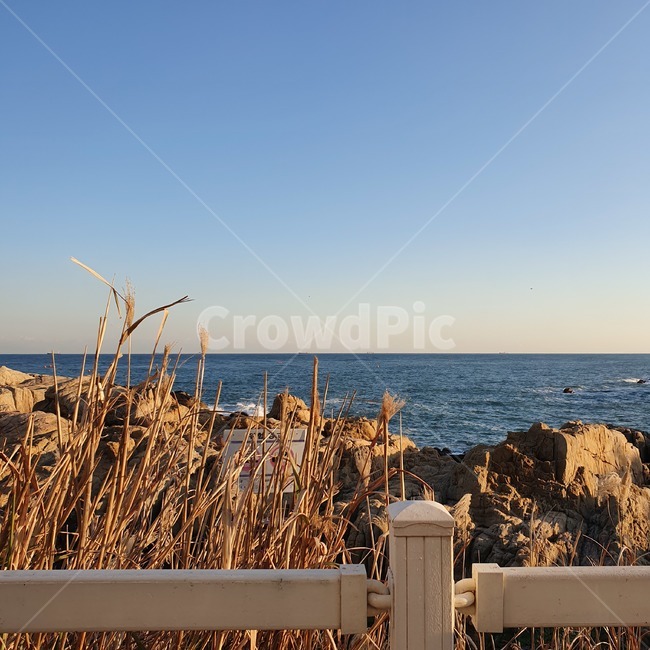 banister,난간,handrail,바다,sea,ocean,view,하늘
