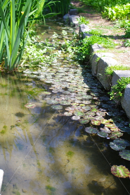 봄,봄경치,land,나라,outdoors,옥외,nature,물,water,자연,수로,연못