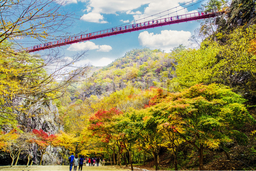 강천산,강천산흔들다리,강천산추경,가을풍경,단풍,인간,가을,계절,fall,autumn,season,자연,풍경,nature,landscape,한국자연풍경,한국자연경관,korea nature landscape,person,사람,human