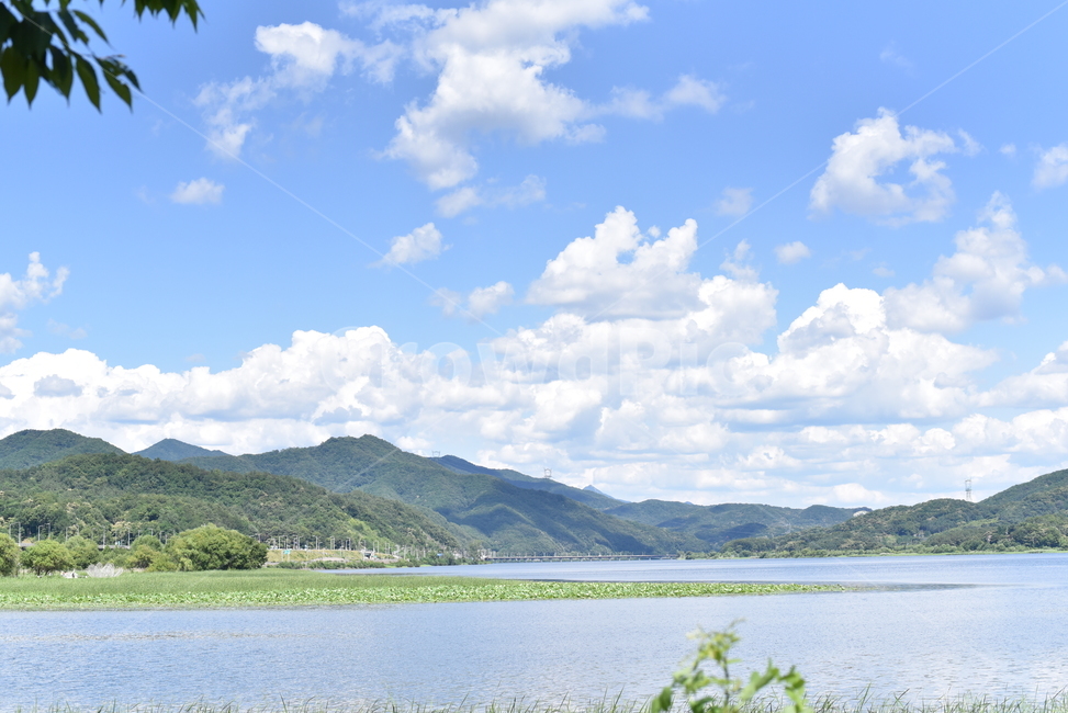 나무,하늘,구름,힐링,경치,자연,풍경,nature,landscape,outdoors,옥외,water,물,weather,날씨,cumulus,적운,sky,cloud
