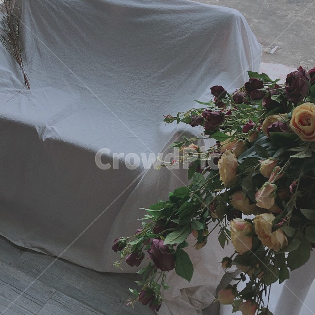 카페,감성사진,감성,손끝,그림자,조명,꽃,flower