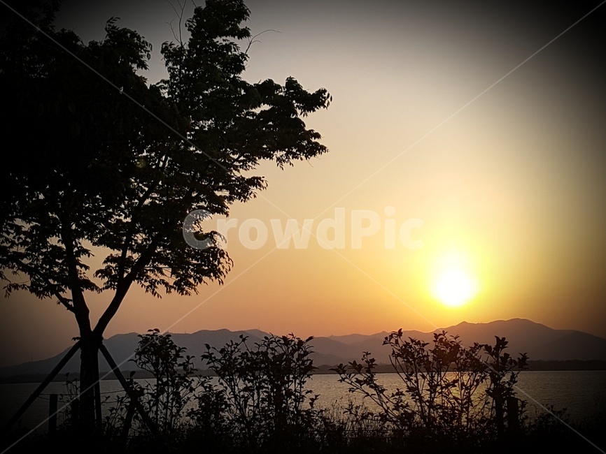 nature,자연,outdoors,햇빛,sunlight