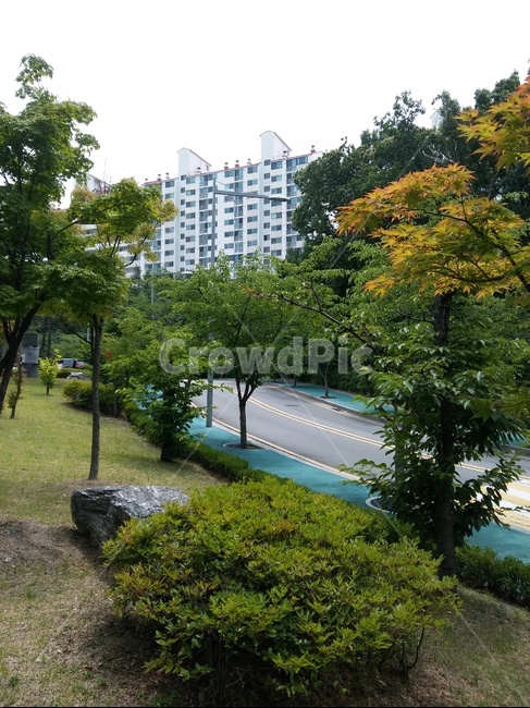 나무,하늘,길,숲,아파트,도시,풍경,city,landscape,한국도시풍경,한국도시경관,korea cityscape,식물,자연,plants,nature,나무,trees,wood,plant,tree,road,도로,outdoors,옥외