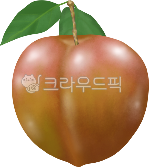 Plum,fruit,summer season,fruit,plum illustration,plum drawing