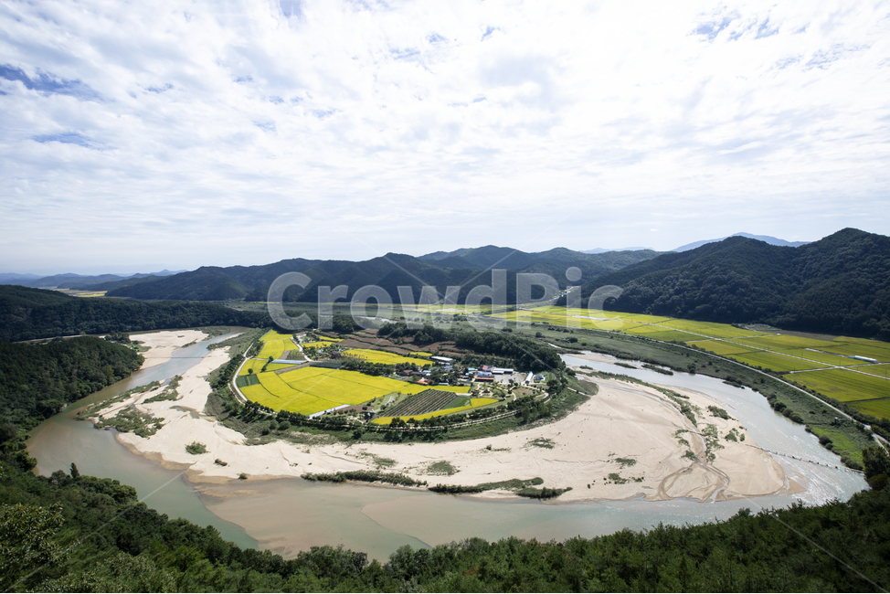 원정리,회룡포,가을들녘,원정리느티나무,구절초,자연,풍경,nature,landscape,한국자연풍경,한국자연경관,korea nature landscape,outdoors,옥외,경치,scenery,aerial view,조감도
