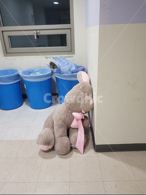 버려짐,유효기간,애착인형,이별후,남겨진