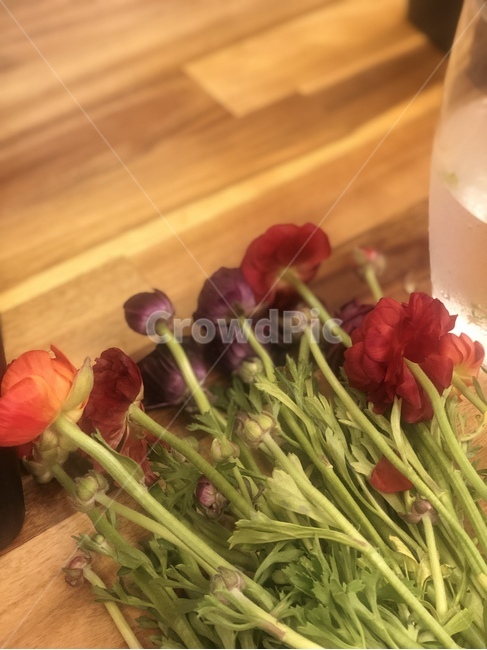 꽃,꽃꽃이,flower,table,테이블,꽃,flower