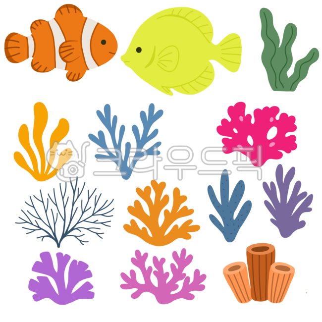 산호,바다,산호초,바다속,바닷가,바다식물,해양생물,바다생물,바다산호,산호들,해조류,귀여운해양생물일러스트,해양생물일러스트,산호초그림,산호초일러스트,핑크산호초,산호초바다식물,귀여운산호초,예쁜산호초,산호이미지