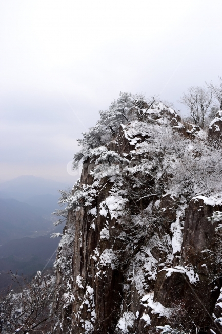 설경,풍경,대둔산,눈꽃,삼선계단,자연,nature,landscape,겨울,계절,winter,season,탐방,도립공원,힐링,감성,정취,산세,명산,100대명산,산,등산,트레킹,풍경사진,비경,경치,겨울사진,겨울색채,경관,기암,암봉우리,mountain,금산,완주,논산,마천대,케이블카,구름다리,fall,autumn,한국자연풍경,한국자연경관,korea,겨울,계절,winter,season,자연,풍경,nature,landscape,tree,나무,plant,식물,outdoors,옥외,fir,전나무