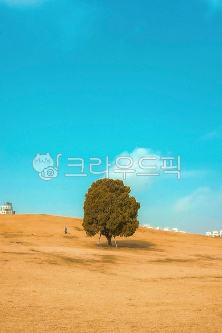 Olympic Park,sky,cloud,Hill,Alone tree,tree,park