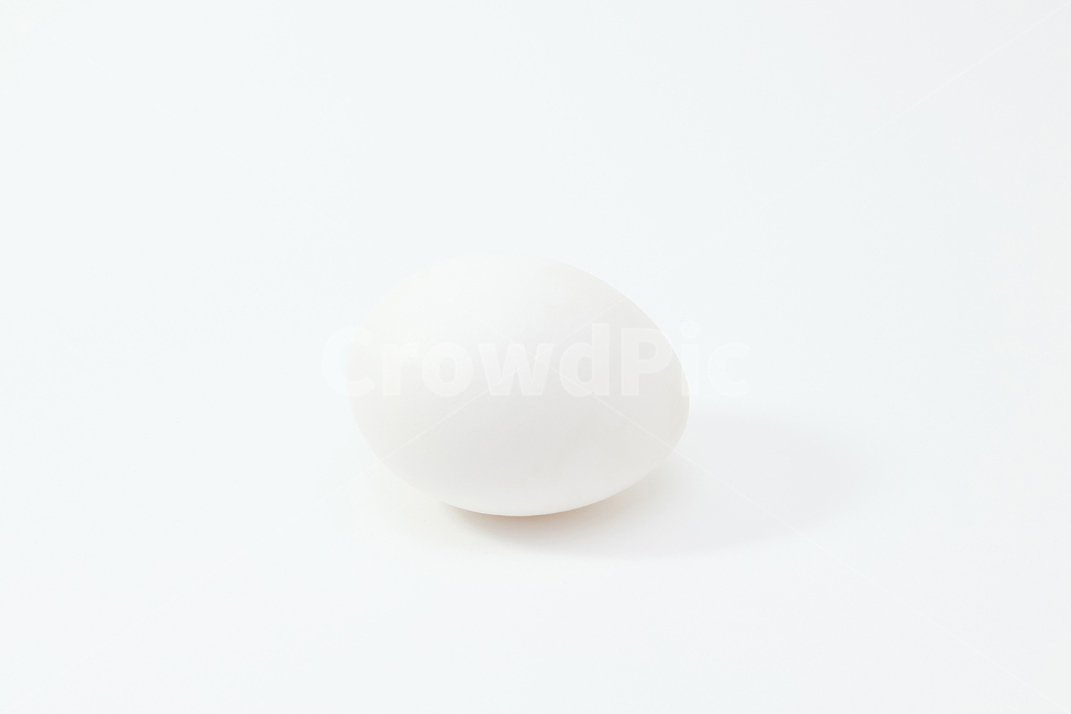 food,음식,egg,계란,달걀