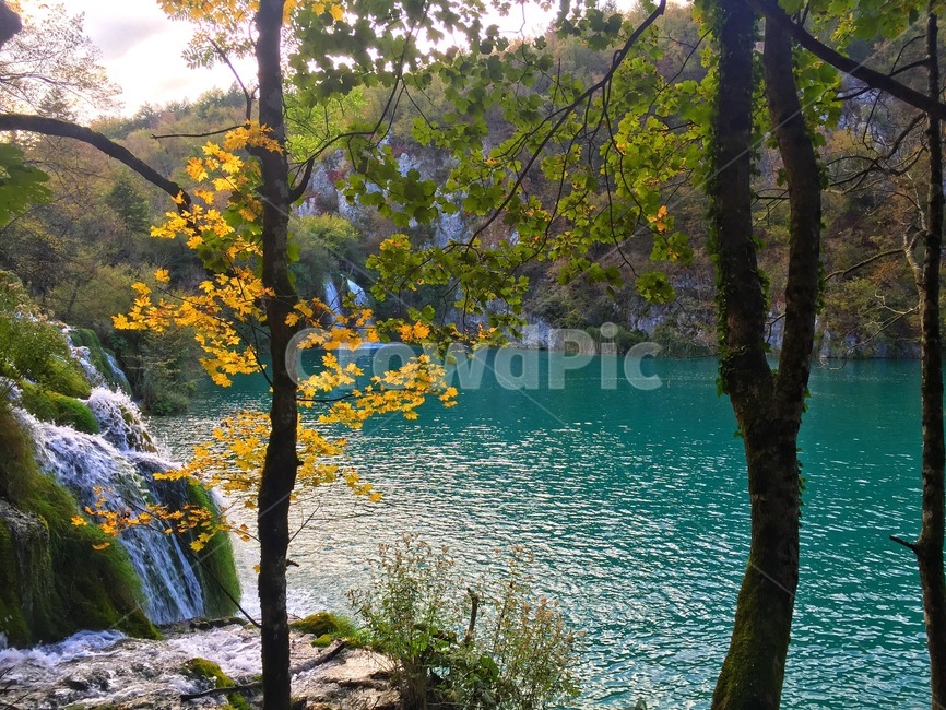 플리트비체,크로아티아,water,호수,lake,nature,자연