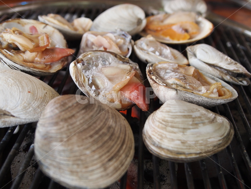 음식,요리,조개,조개구이,해산물,clam,food,cooking