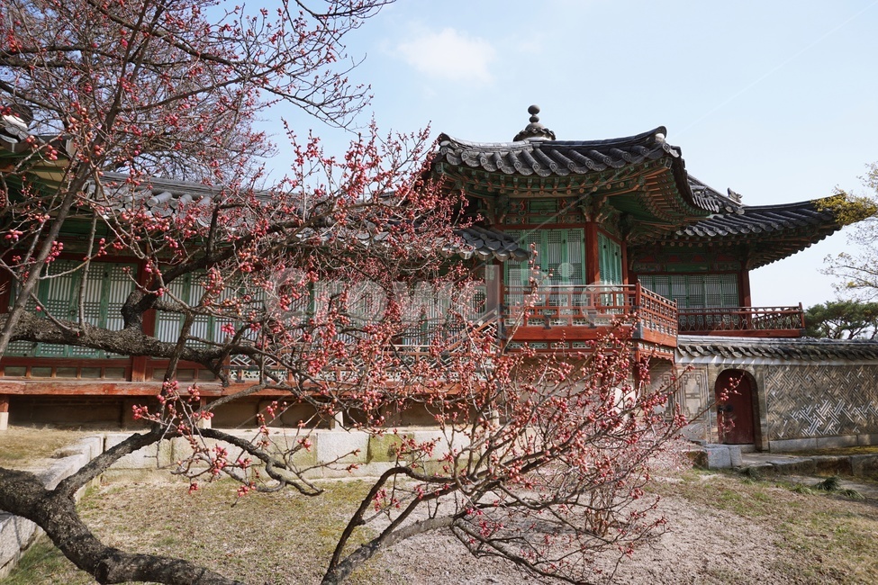 architecture,건축물,building,건물,고궁,palace,전통건물,창덕궁