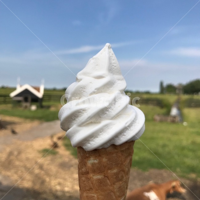 아이스크림,목장,초원,디저트,자연,흰색,디저트,간식,후식,dessert,snack