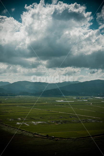 nature,자연,outdoors,옥외,순천만,국가정원,전라남도,하늘,sky