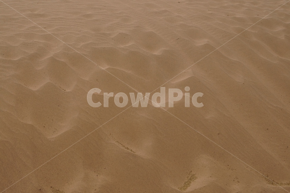 중국,사막,모래,china,desert,asia,sand,자연,아시아,자연,풍경,nature,landscape,soil,흙,outdoors,옥외,dune,모래 언덕