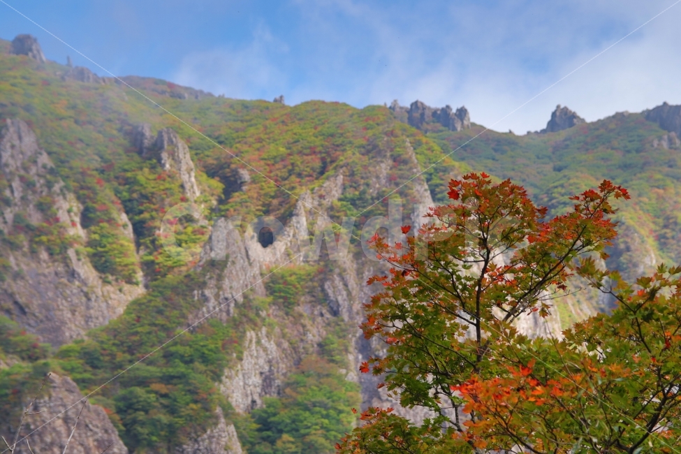 가을산,한라산,단풍,가을,제주도,가을,계절,fall,autumn,season,자연,풍경,nature,landscape,한국자연풍경,한국자연경관,korea nature landscape,outdoors,옥외,mountain,산
