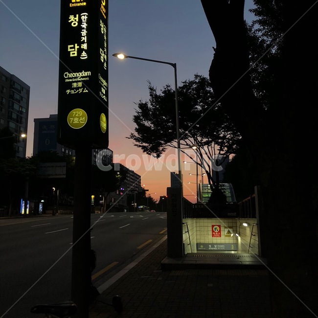 새벽,일출,산책,하늘,노을