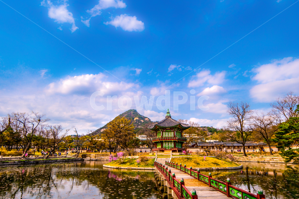 경복궁,고궁,봄,꽃,벚꽃,서울,봄,계절,spring,season,한국전통,한국문화,korean traditional,korean culture,랜드마크,landmark,tourist attraction,한국랜드마크,한국관광지,한국명소,korea landmark,korea tourist attraction,건축물,건물외관,exterior,building,structure,architecture,construction,water,물,건물