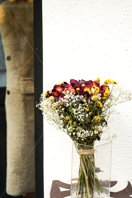 plant,식물,flower,꽃,꽃부케,flowerbouquet,flowerarrangement,꽃꽂이,식물,자연,plants,nature,꽃,flower