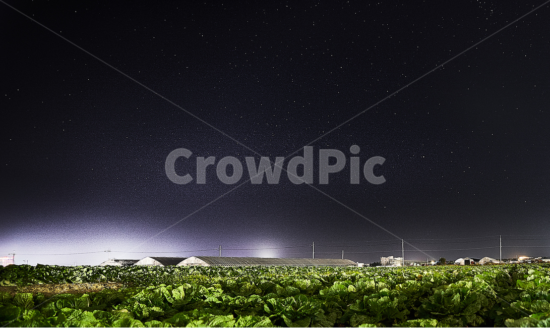 시골,농촌,배추밭,야경,밤,밤하늘,시골,마을,풍경,landscape,country,rural,town,야경,밤,nightscape,night,nature,자연,outdoors,옥외