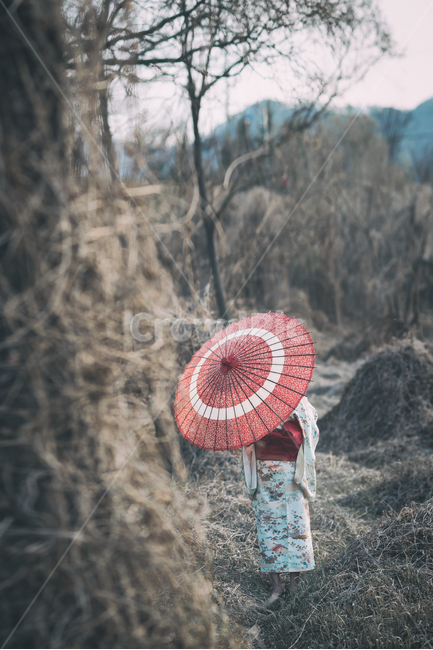 Bikwang,Bangasa,Grass,Emotional Photo,Japanese Costume,Tree Branch,Kimono,Umbrella,Japanese Snap,Tree,Outdoor,Japanese Umbrella,costume,Red Umbrella,Japanese traditional clothing,Japanese,Park,Snapshot,Dry Branch,Floral Pattern,Clothes,traditional clothin