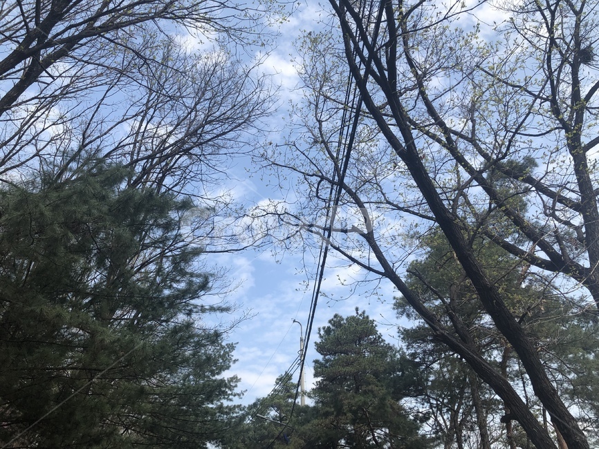 하늘,자연,구름,아침,sky