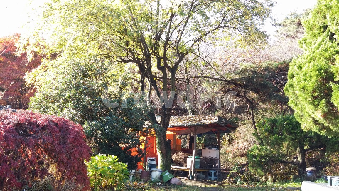 시골,자연,나무,식물,집,자연,풍경,nature,landscape