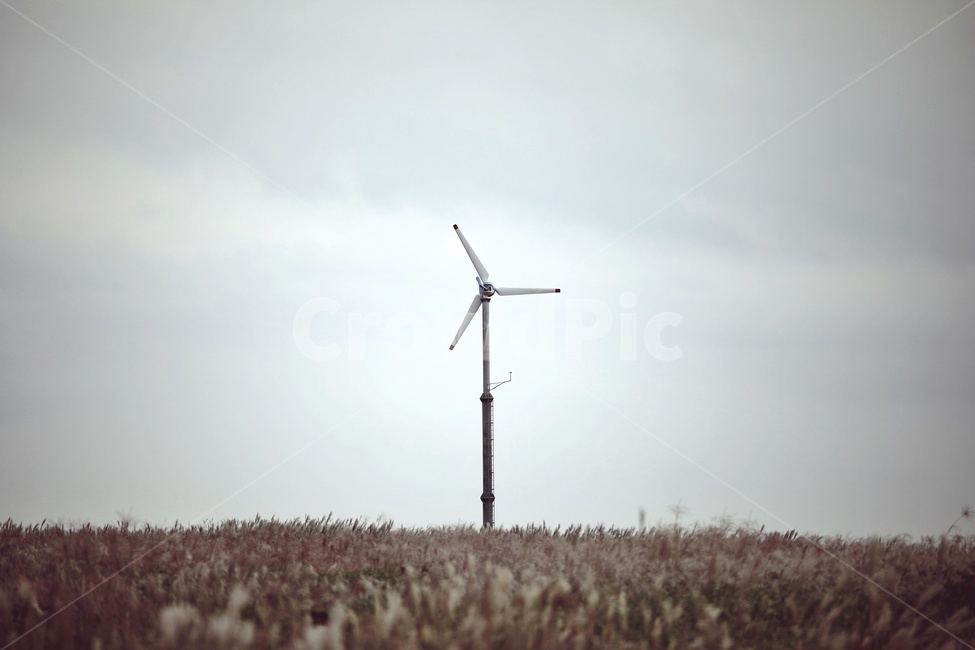 machine,기계,motor,풍력발전기,갈대,하늘,풍력발전,에너지산업,energy industry