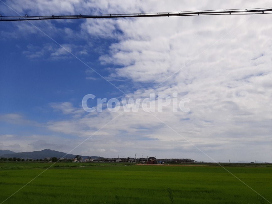 nature,자연,outdoors,옥외,field,목초지,grassland,들,화창한,하늘