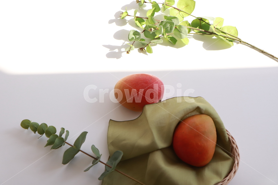 과일,레드망고,과일선물,고급과일,음식,food,fruit,과일,열매,fruit