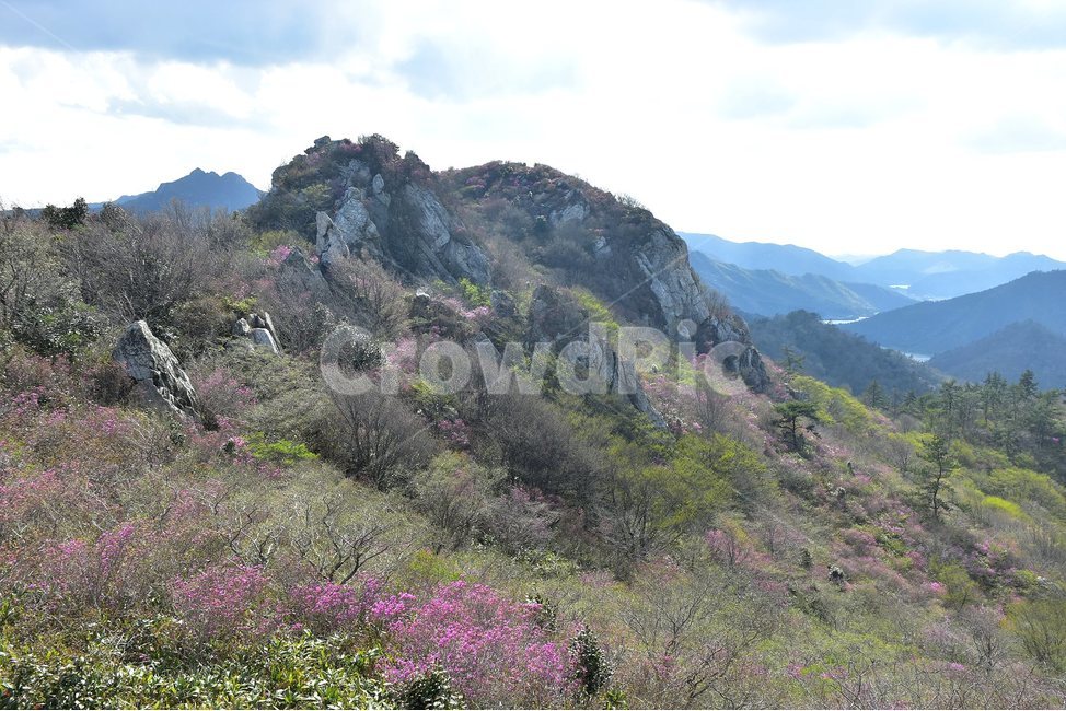 주작산,덕룡산,종주,진달래,풍경,기암,바위,비경,봄풍경,진달래꽃,강진,명산,산행,등산,마운틴,힐링,mountain,landscape,자연,natural,자연,풍경,nature,landscape,한국자연풍경,한국자연경관,korea nature landscape,slope,경사,outdoors,옥외,mountain range,산맥,산