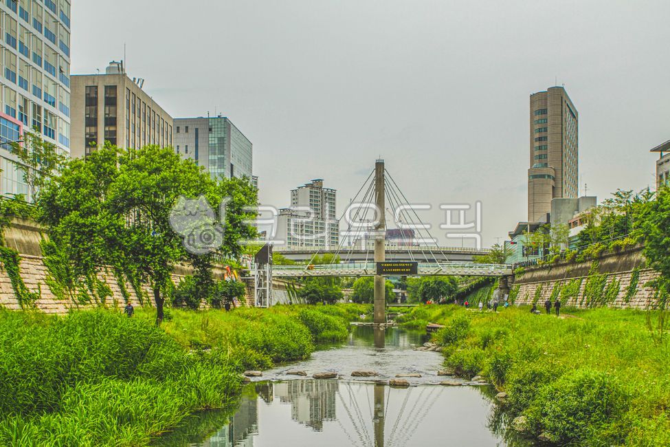 서울,용두동,청계천,산책,산책로,도시,시티,건물,고층건물,다리,물,돌담,옥외,자연,urban,city,building,highrise,bridge,water,stonewall,outdoors,nature