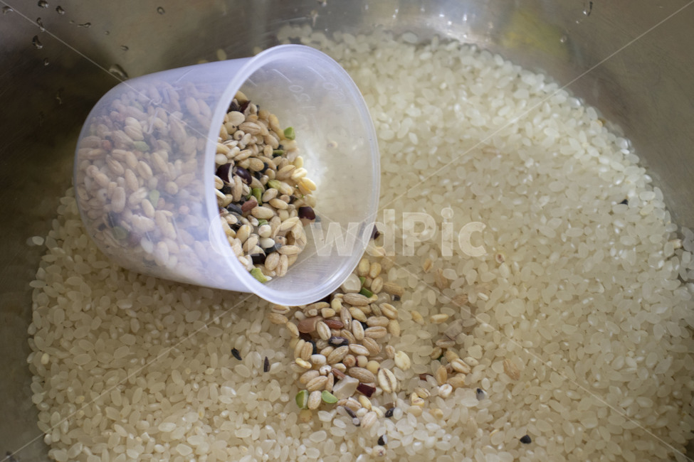 쌀,rice,잡곡,건강,곡물,요리,식자재,건강식,웰빙,농산물,농업,벼,음식,식재료,요리,food,cook,meal,dishes,food reserves,곡류,곡식,cereals