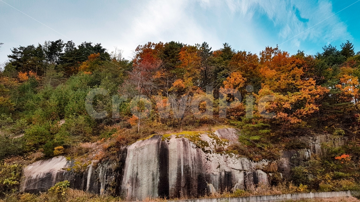 단풍,바위,가을,하늘,설악산,여행,korea,sky,maple,travel,stone,가을,계절,fall,autumn,season,자연,풍경,nature,landscape,한국자연풍경,한국자연경관,korea nature landscape,tree,나무,plant,식물,outdoors,옥외