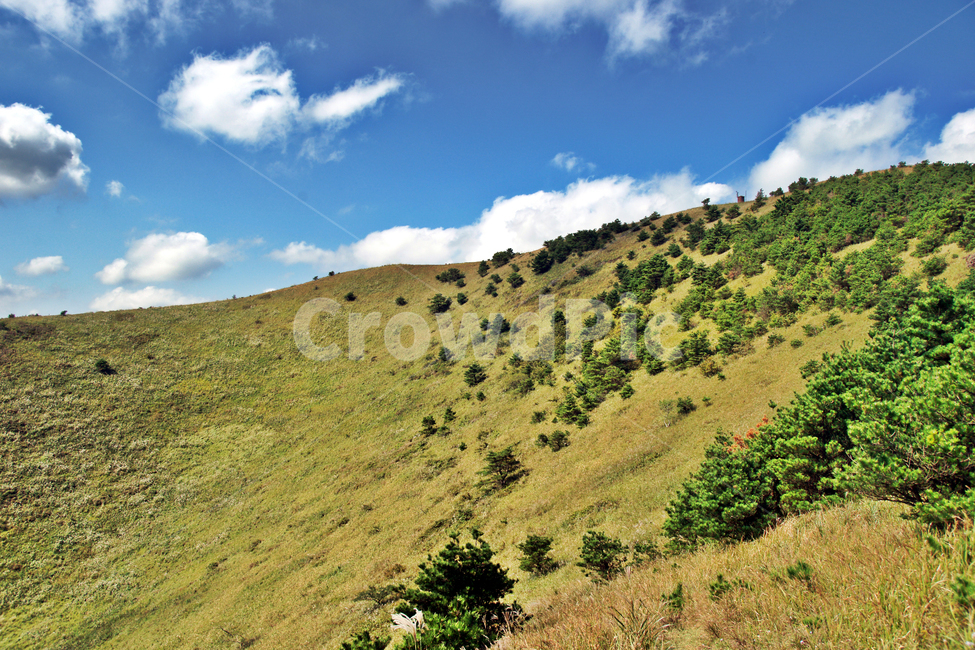 다랑쉬오름,기생화산,분화구,제주,구좌읍,자연,풍경,nature,landscape,한국자연풍경,한국자연경관,korea nature landscape,제주도,jeju,jeju island,outdoors,옥외,hill,언덕