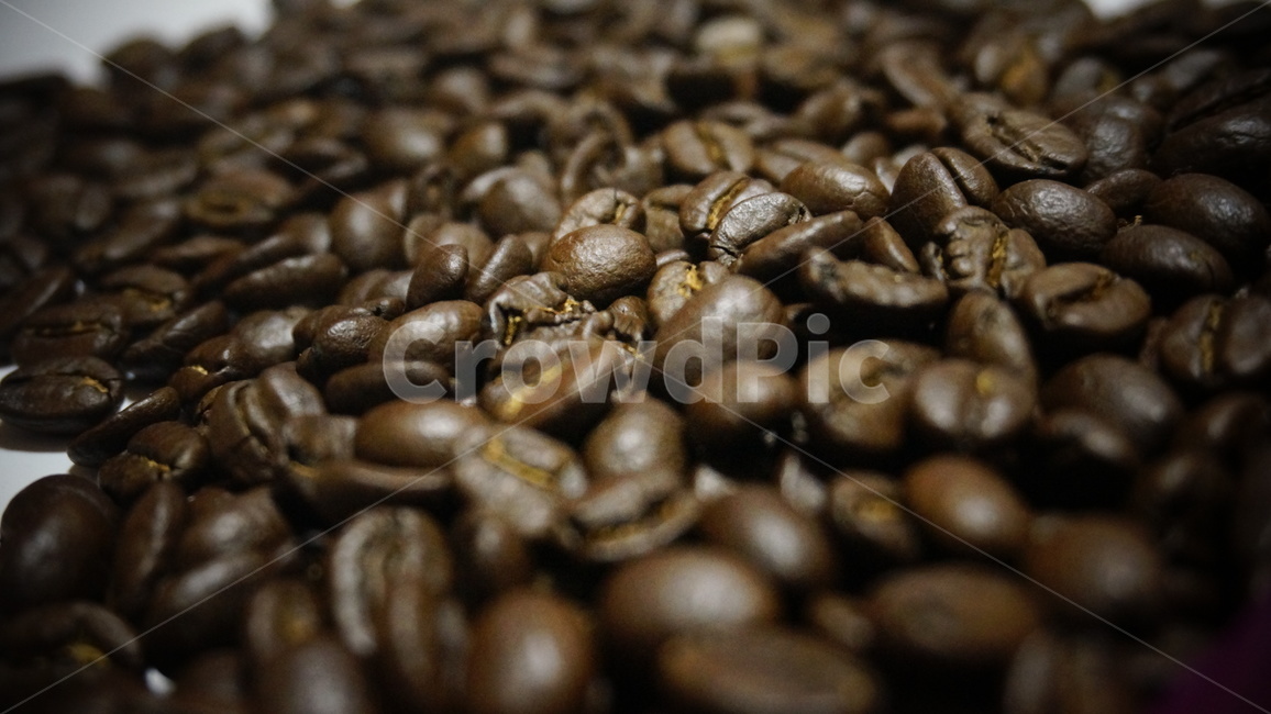 원두,원두커피,로스팅,커피,cafe,드립커피,스코트레버러토리,워시드방식,커피,카페,coffee,cafe