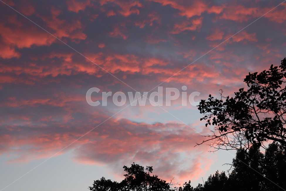 자연,풍경,노을,석양,구름,나무,sky,sunset,cloud,tree