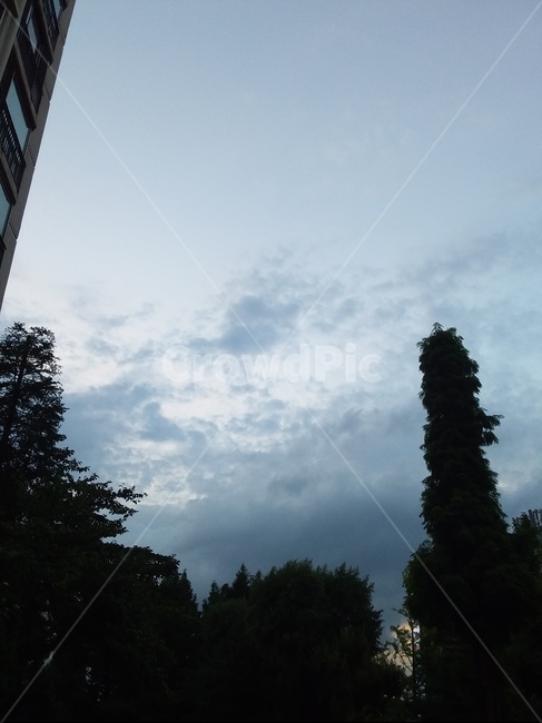 하늘,구름,해질녘,cloud,sky