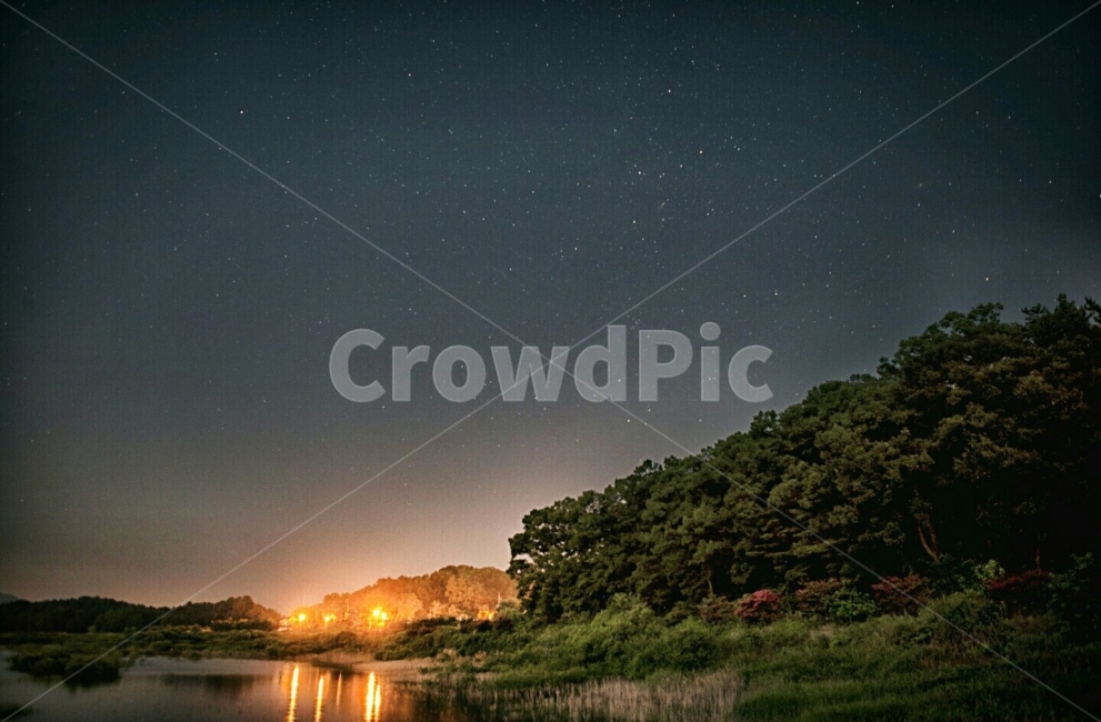 별,장노출,하늘,밤하늘,갈대밭,빛,불빛,가정집,자연,풍경,nature,landscape,한국자연풍경,한국자연경관,korea nature landscape,야경,밤,nightscape,night,outdoors,옥외
