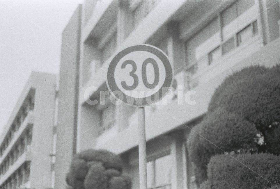 표지판,건물,나무,필름카메라,필름